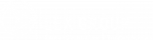 LEX Group Logo White scaled